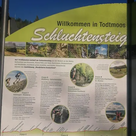 Am Kurpark Todtmoos