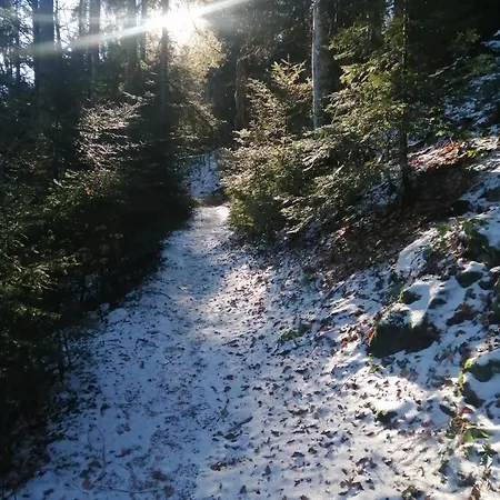 Casa de hóspedes Am Kurpark Todtmoos