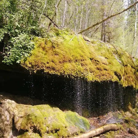 Am Kurpark Casa de hóspedes 3*