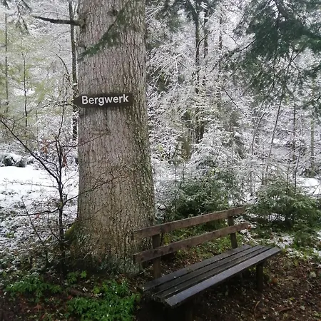 Am Kurpark Todtmoos