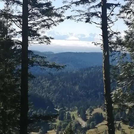 Casa de hóspedes Am Kurpark Todtmoos