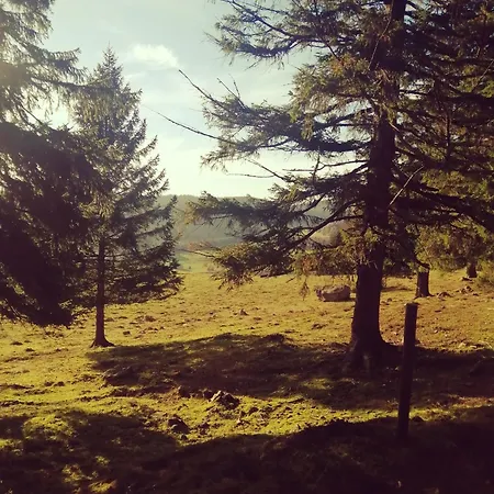Am Kurpark Guest house Todtmoos