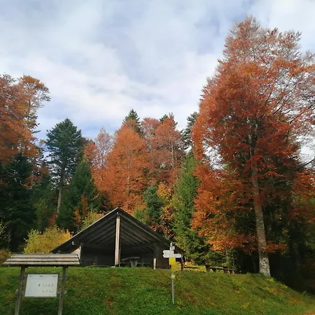 Am Kurpark