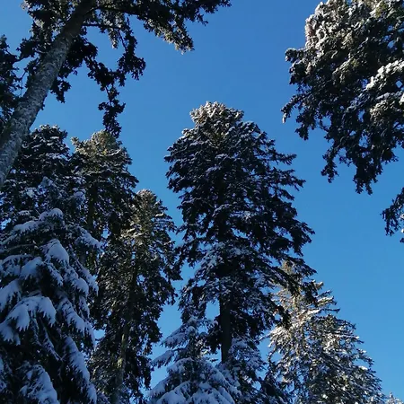 Gasthof Am Kurpark 3*