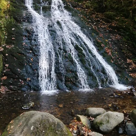 Am Kurpark