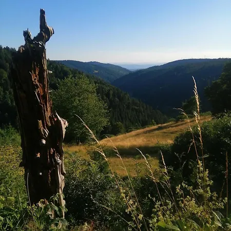 Casa de hóspedes Am Kurpark