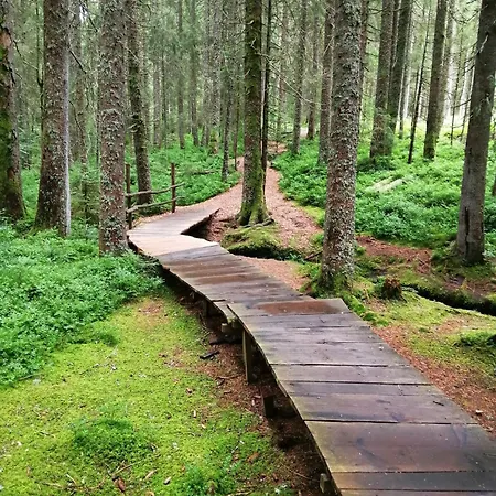 Am Kurpark Casa de hóspedes Todtmoos