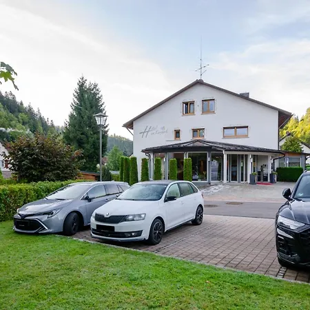 Casa de hóspedes Am Kurpark Todtmoos