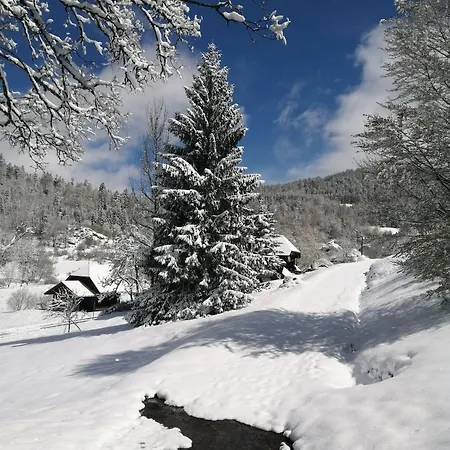 Am Kurpark Casa de hóspedes Todtmoos