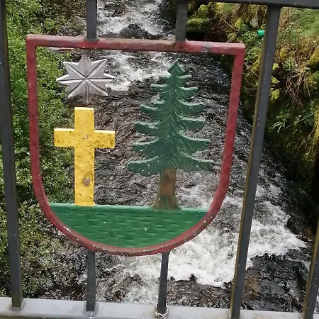 Casa de hóspedes Am Kurpark Todtmoos