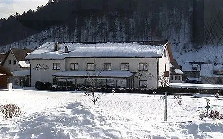 Am Kurpark Guest house Todtmoos