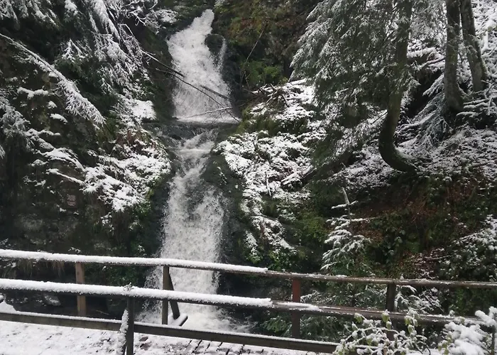 Vendégház Am Kurpark 3*