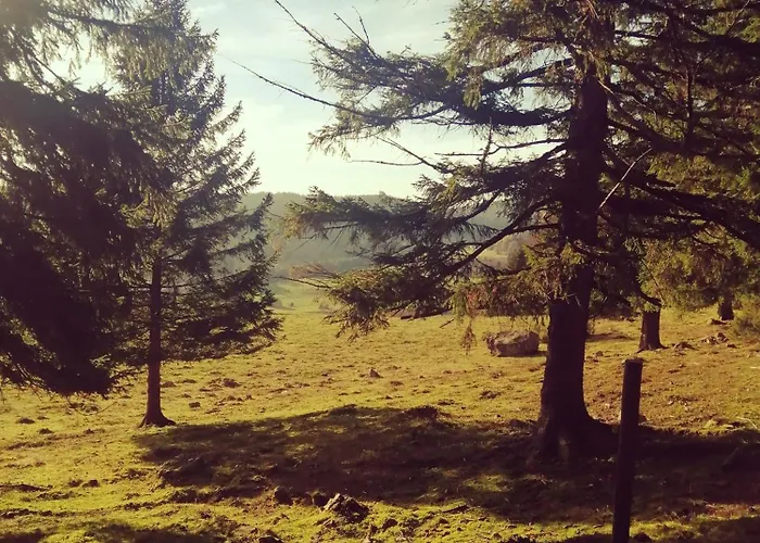 Am Kurpark Pensionat Todtmoos