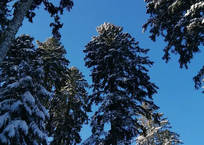 Vendégház Am Kurpark 3*