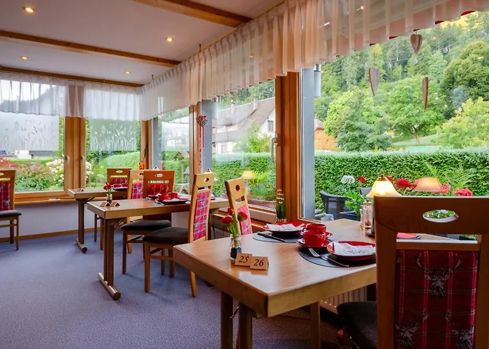 Pensionat Am Kurpark 3*