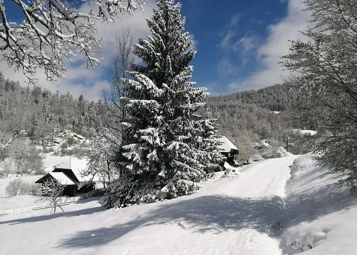 Am Kurpark Vendégház Todtmoos