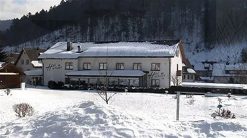 Am Kurpark Pensionat Todtmoos